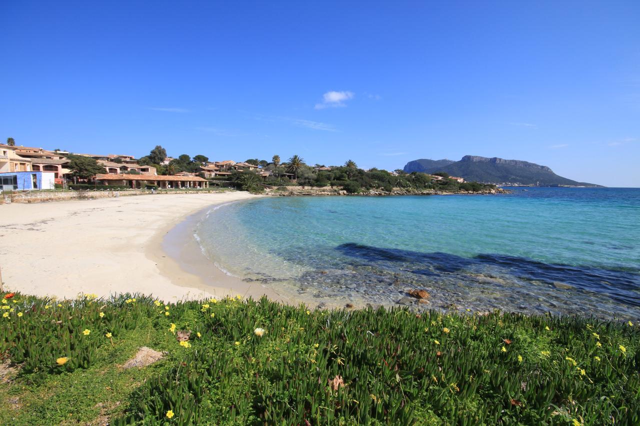 S'Abba Seafront Apartments - Your House In Sardinia ゴルフォ・アランチ エクステリア 写真